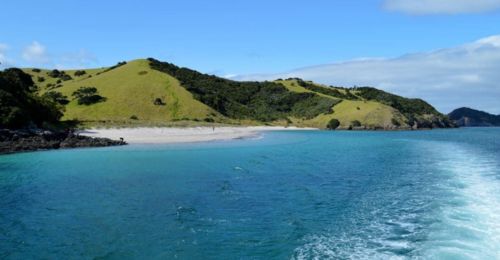 La Bay of Islands et ses dauphins