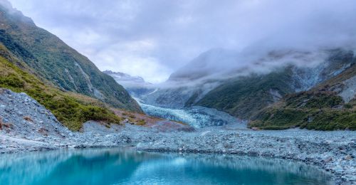 Blog Nouvelle-Zélande : Glacier fox