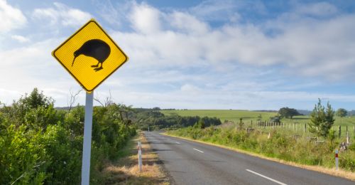 kiwis-oiseaux-de-nouvelle-zelande