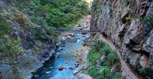 La gorge de Karangahake