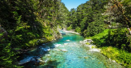 Blog Nouvelle-Zélande : Routeburn Track