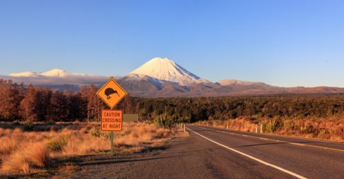 Volcans en Nouvelle-Zélande