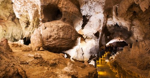 Waitomo Glowworm Caves et ses vers luisants