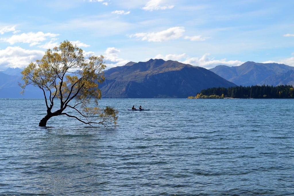 lac Wanaka lone tree